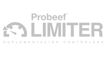 limiter (2)